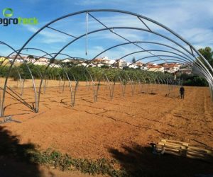 macro-tunnel-lettuce-production-torres-vedras-2