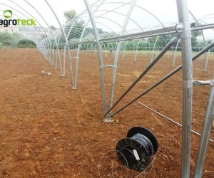macro-tunnel-lettuce-production-torres-vedras-4
