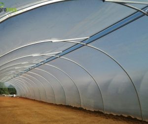 tunel-ventilacion-produccion-plantas-jardin-agroteck-Moncarapacho-1