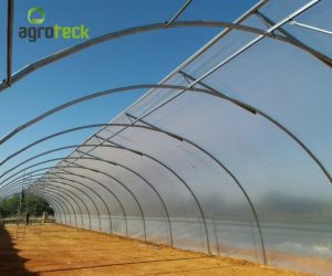 tunel-ventilacion-produccion-plantas-jardin-agroteck-Moncarapacho-3