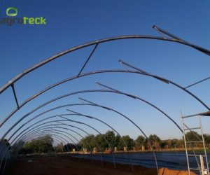 tunel-ventilacion-produccion-plantas-jardin-agroteck-Moncarapacho-7