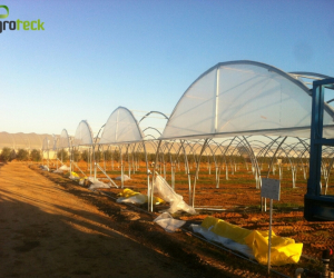 Assembly of Greenhouses
