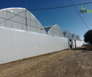 greenhouses-production-aromatic-plants-tavira-15