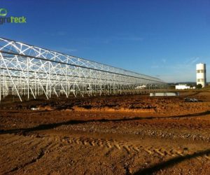 greenhouses-production-aromatic-plants-tavira-4