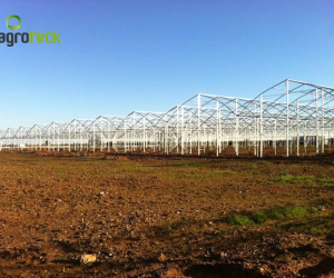 greenhouses-production-aromatic-plants-tavira-5