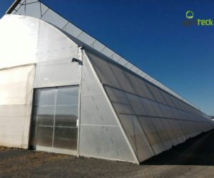 greenhouses-production-aromatic-plants-tavira-9