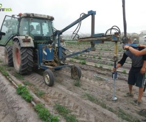 multi-tunneles-produccion-frambuesa-cabo-sardao-odemira-3