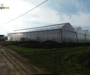 invernaderos-goticos-produccion-fresas-suspension-hidroponia-bourran-3