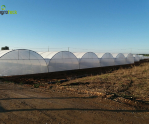 tunnels-production-fruits-rouges-mantarota-algarve-10