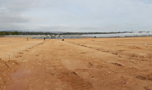 tunnels-production-fruits-rouges-mantarota-algarve-12