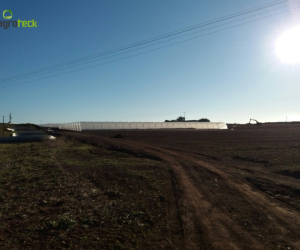 tunnels-production-fruits-rouges-mantarota-algarve-3