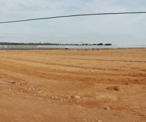 tunnels-production-fruits-rouges-mantarota-algarve-5