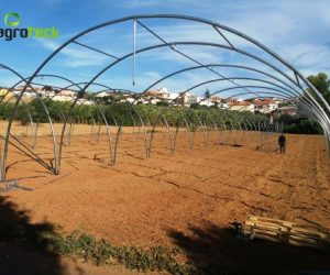 macro-tunnel-production-salade-torres-vedras-2