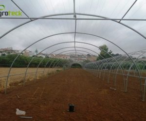 macro-tunnel-production-salade-torres-vedras-3