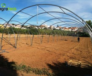 macro-tunel-produccion-lechuga-torres-vedras-2