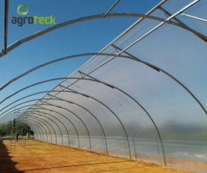 tunel-ventilacao-producao-plantas-jardim-moncarapacho-3