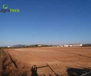 richel-tunnels-raspberry-production-tavira-1