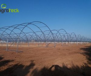 richel-tunnels-raspberry-production-tavira-5