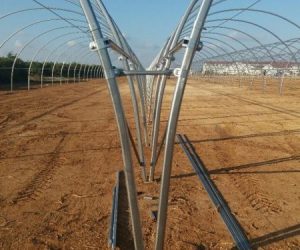 richel-tunnels-raspberry-production-tavira-7