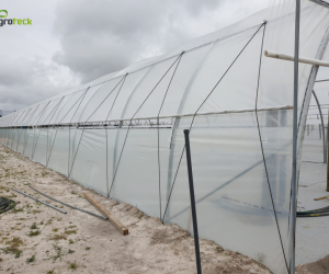 multi-tunnels-production-small-red-fruits-zambujeira-do-mar-8