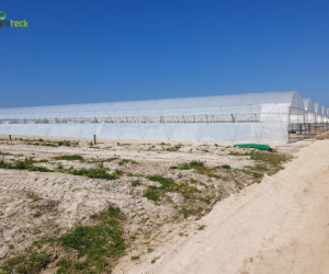 multi-tunnels-production-small-red-fruits-zambujeira-do-mar-9