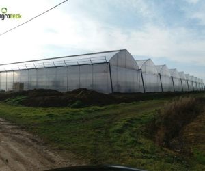 gothic-greenhouses-strawberries-production-suspension-hydroponics-bourran-2