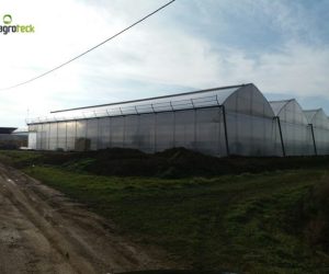 gothic-greenhouses-strawberries-production-suspension-hydroponics-bourran-3
