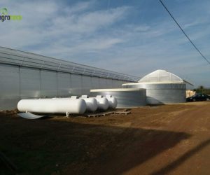 gothic-greenhouses-strawberries-production-suspension-hydroponics-bourran-5