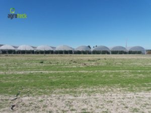 agricultura-multi-túneis-produção-framboesa-agroteck-cabo-sardão-odemira