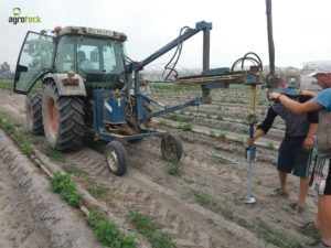 agricultura-multi-túneis-produção-framboesa-agroteck-cabo-sardão-odemira