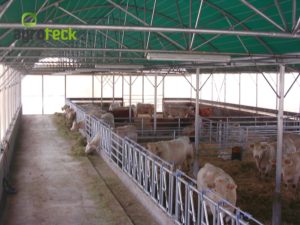 agro-live-stock-pavilions-agroteck-gallery