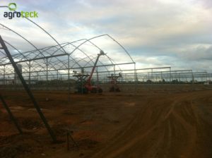 assembly-greenhouses-agroteck-gallery