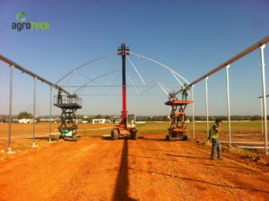 ervas-plantas-aromáticas-agricultura-estufas-agroteck-tavira