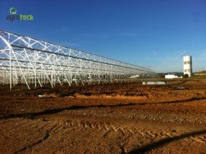 ervas-plantas-aromáticas-agricultura-estufas-agroteck-tavira