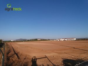 túneis-richel-produção-framboesa-agroteck-tavira