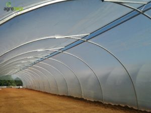 túnel-ventilación-producción-plantas-jardín-agroteck-Moncarapacho